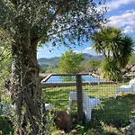 Private Mountain Log With Amazing Panoramic Sunset Views At Small Scale Nature *