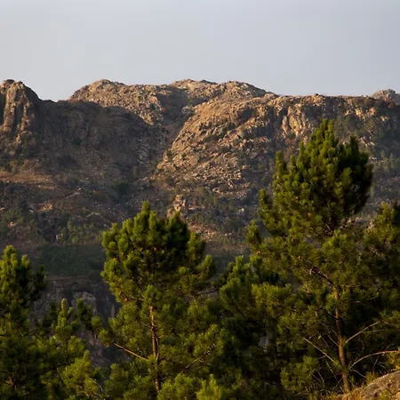 Campsite Private Mountain Log With Amazing Panoramic Sunset Views At Small Scale Nature