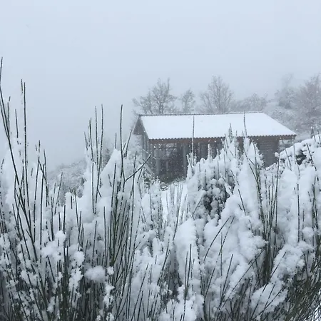 Private Mountain Log With Amazing Panoramic Sunset Views At Small Scale Nature