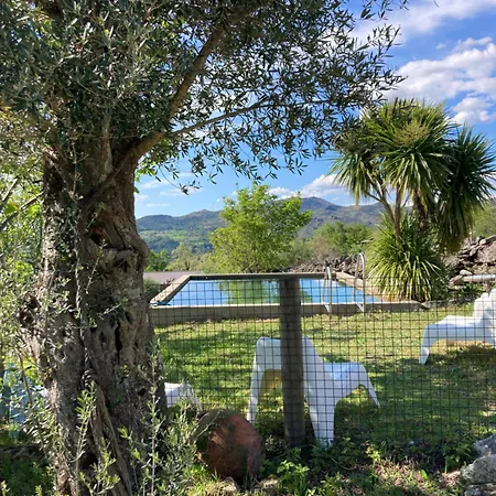 Private Mountain Log With Amazing Panoramic Sunset Views At Small Scale Nature *