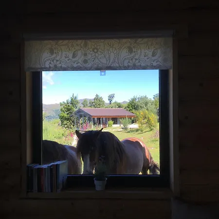 Private Mountain Log With Amazing Panoramic Sunset Views At Small Scale Nature *