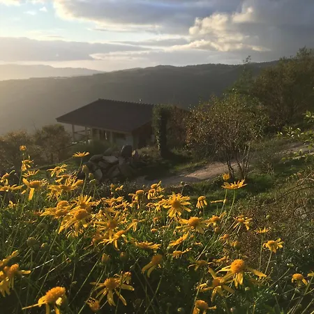 Campsite Private Mountain Log With Amazing Panoramic Sunset Views At Small Scale Nature *