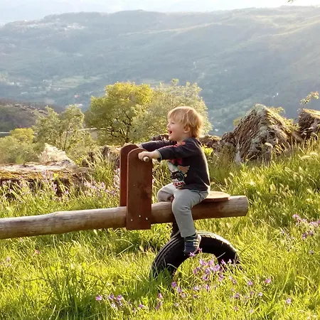 Campsite Private Mountain Log With Amazing Panoramic Sunset Views At Small Scale Nature