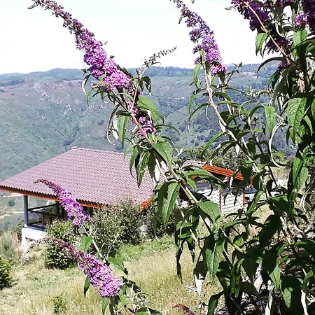 Private Mountain Log With Amazing Panoramic Sunset Views At Small Scale Nature Campingplatz *