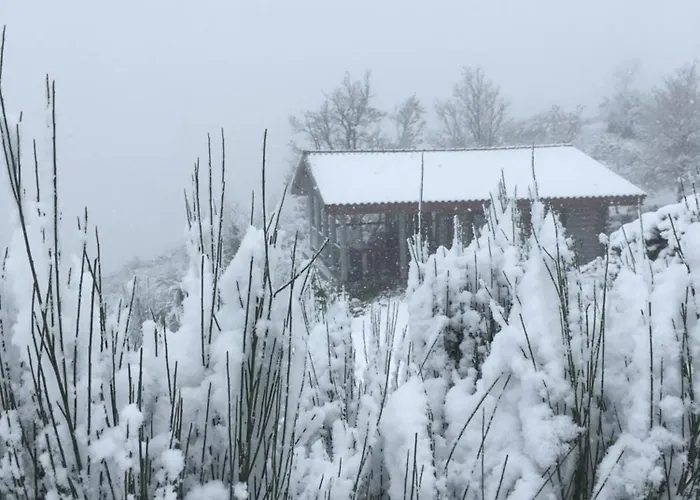 Private Mountain Log With Amazing Panoramic Sunset Views At Small Scale Nature