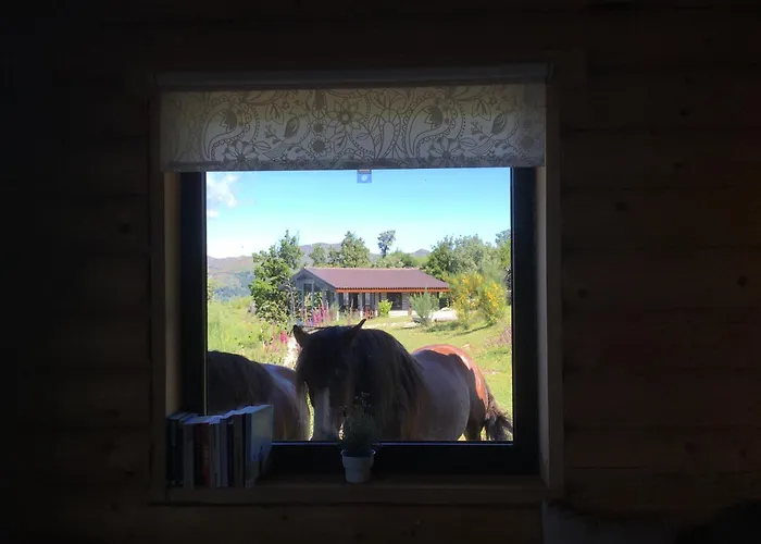 Private Mountain Log With Amazing Panoramic Sunset Views At Small Scale Nature *